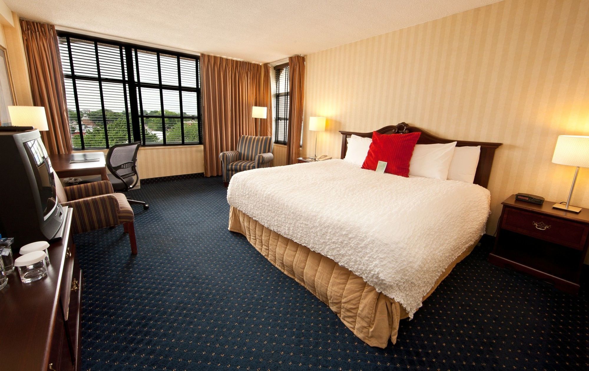 Hotel Capitol Skyline 4*